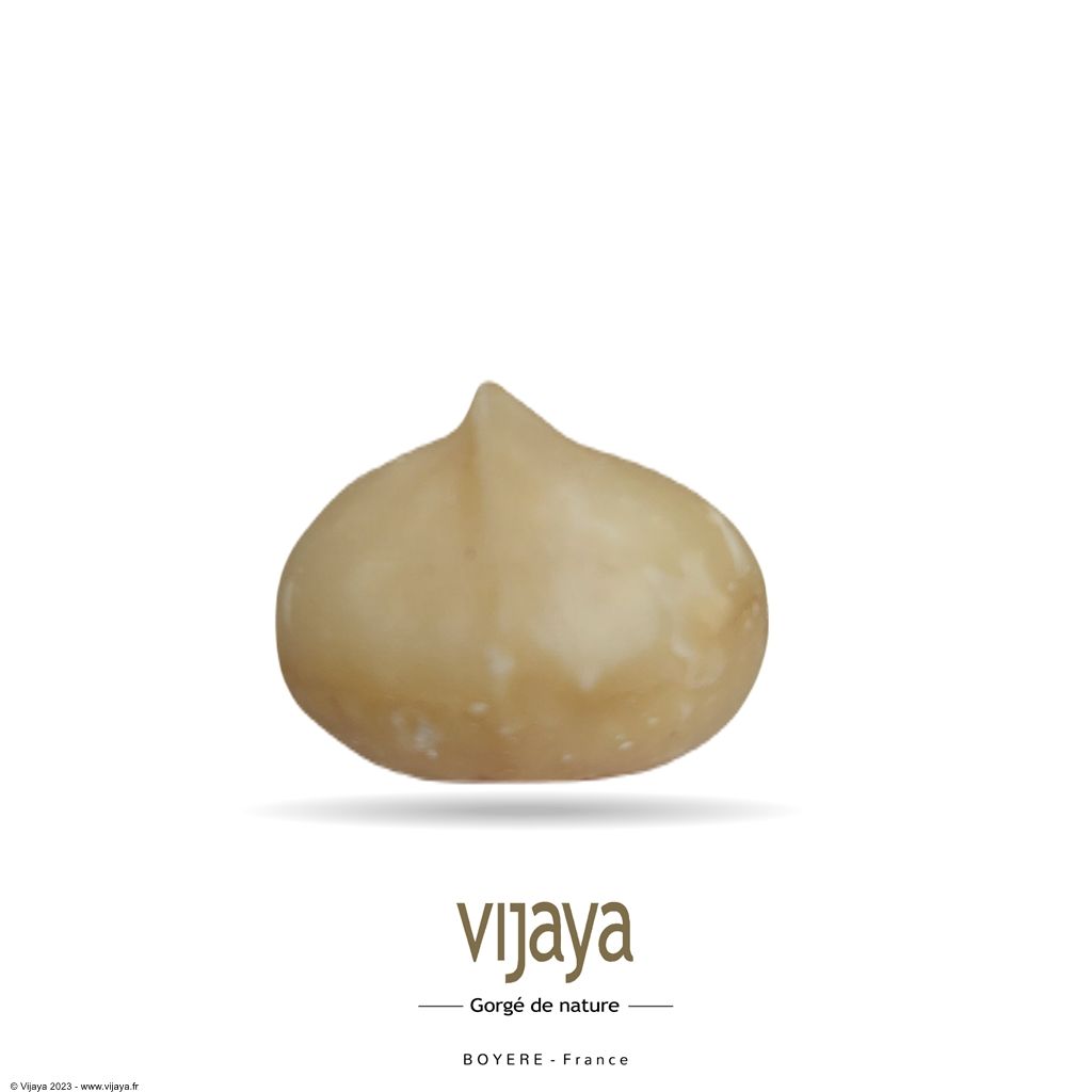 Vijaya